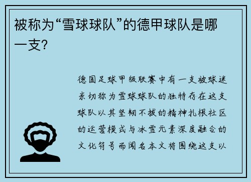 被称为“雪球球队”的德甲球队是哪一支？